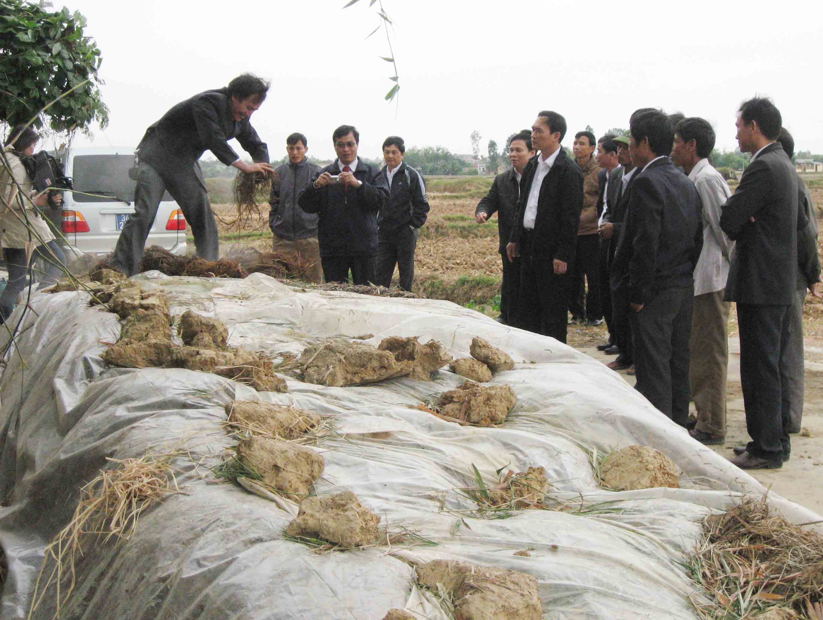 Sản xuất và sử dụng chế phẩm sinh học xử lý rơm rạ thành phân bón hữu cơ ở Hải Dương